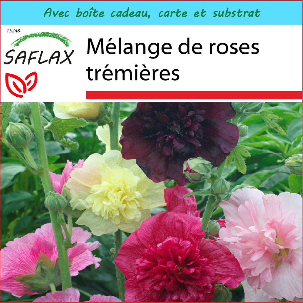 Ensemble-cadeau - mélange de roses trémières - 100 graines - alcea rosea