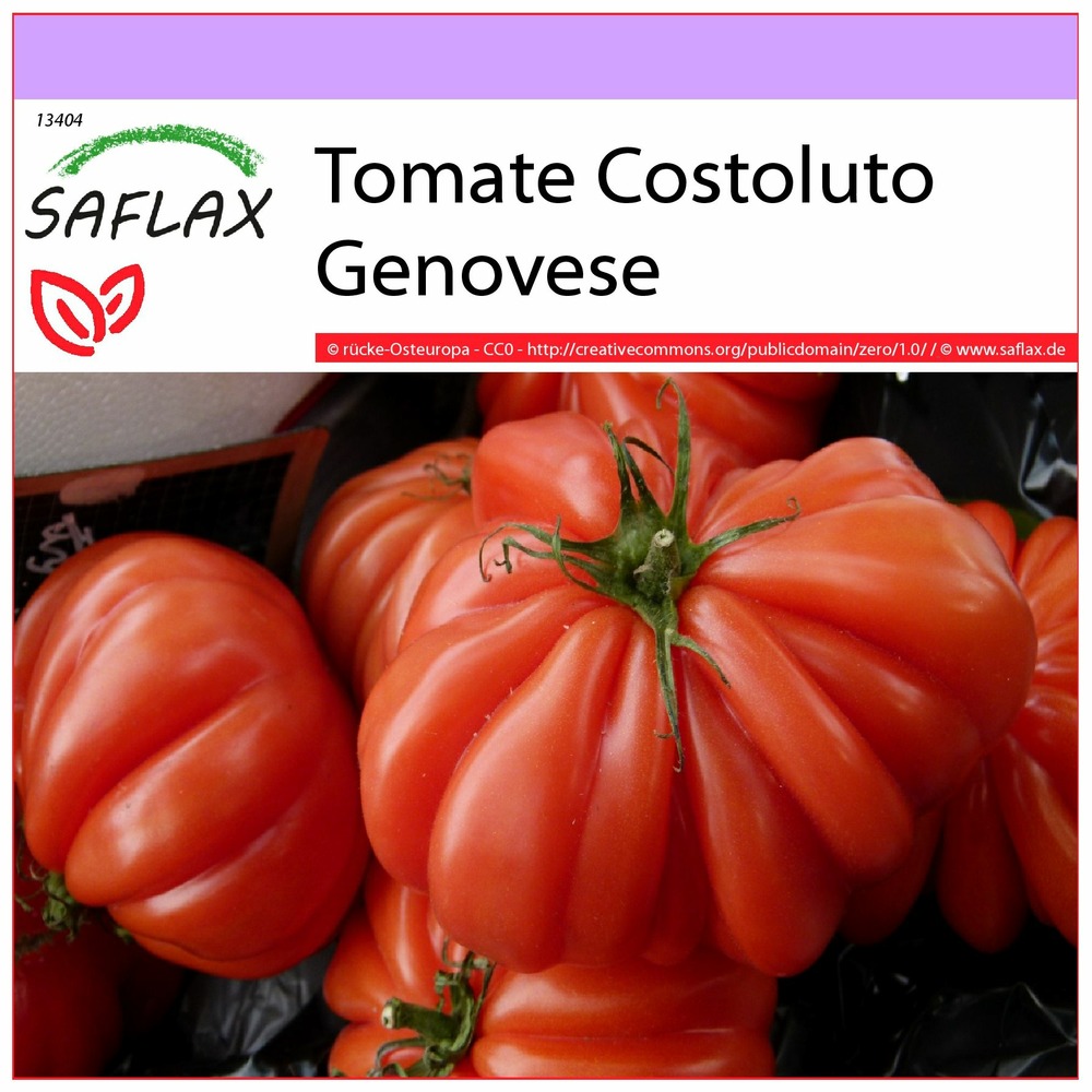 Tomate costoluto genovese - 10 graines - lycopersicon esculentum