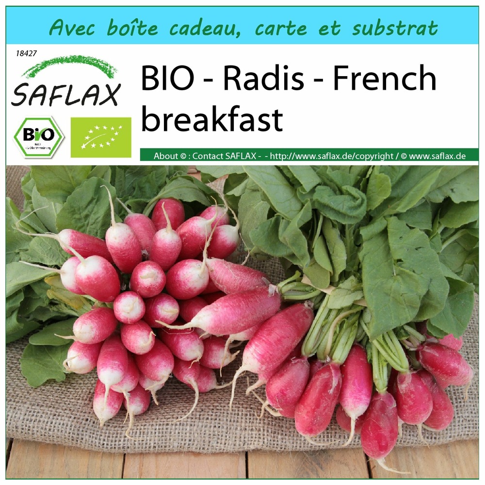 Ensemble-cadeau - bio - radis - french breakfast - 150 graines - raphanus sativus