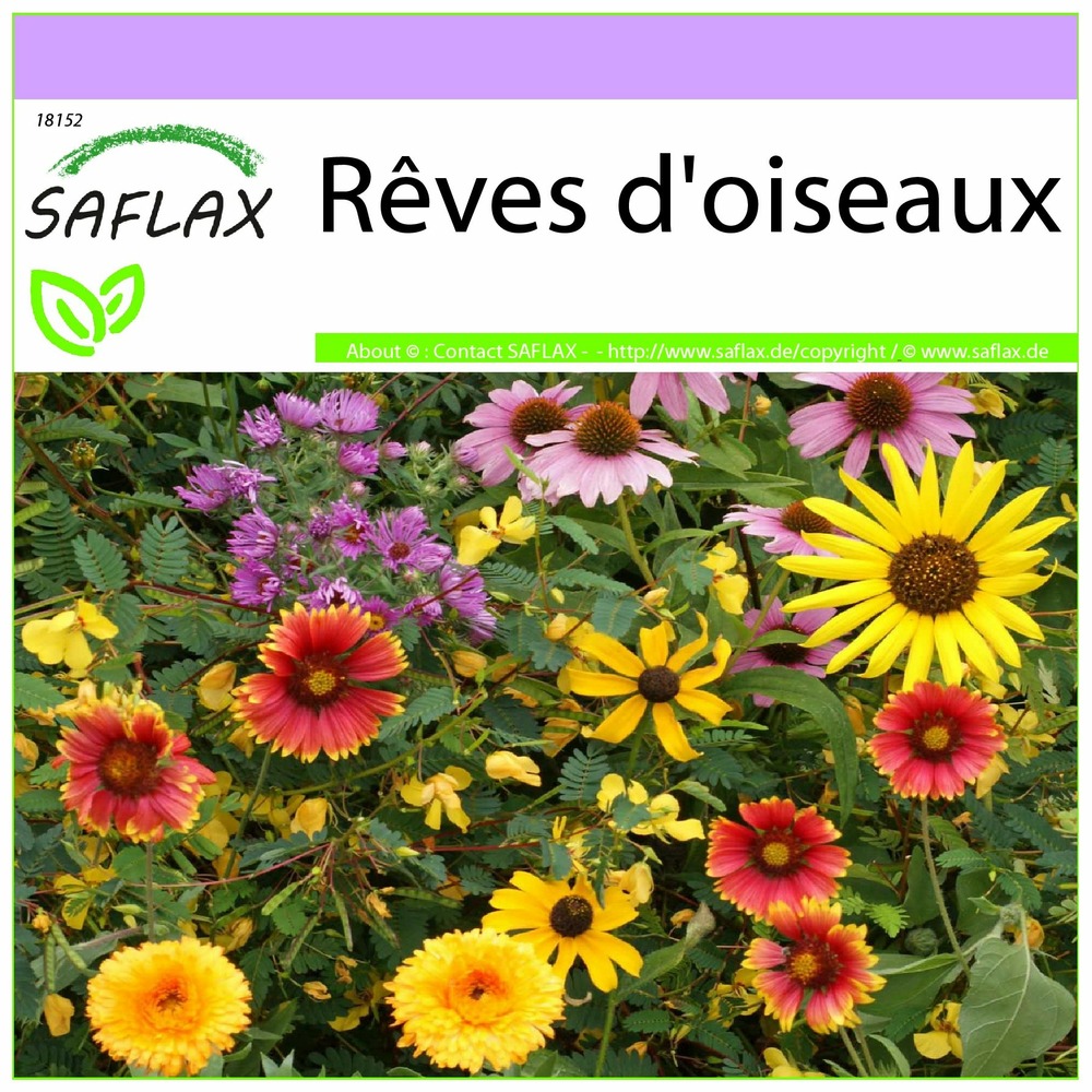 Rêves d'oiseaux - 1000 graines - mix