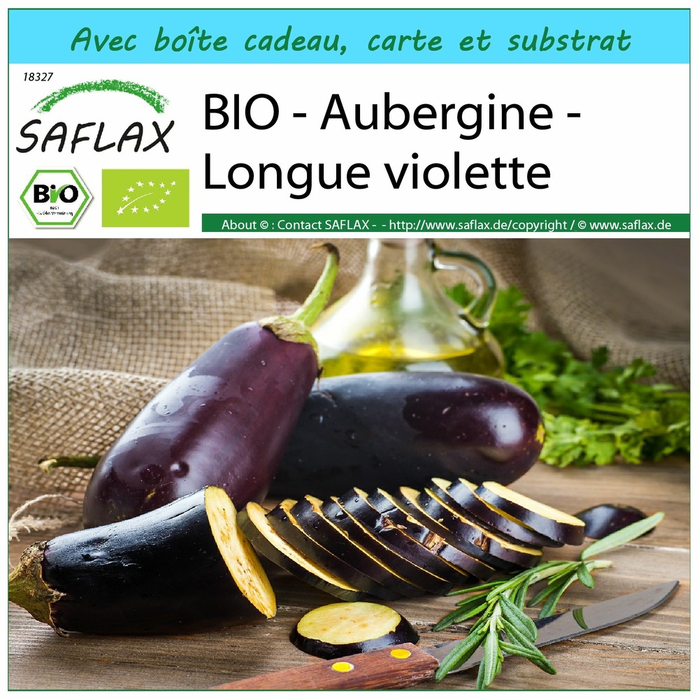 Ensemble-cadeau - bio - aubergine - longue violette - 20 graines - solanum melongena