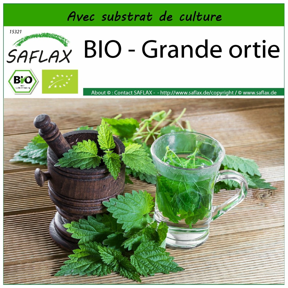 Bio - grande ortie - 2000 graines - avec substrat - urtica dioica