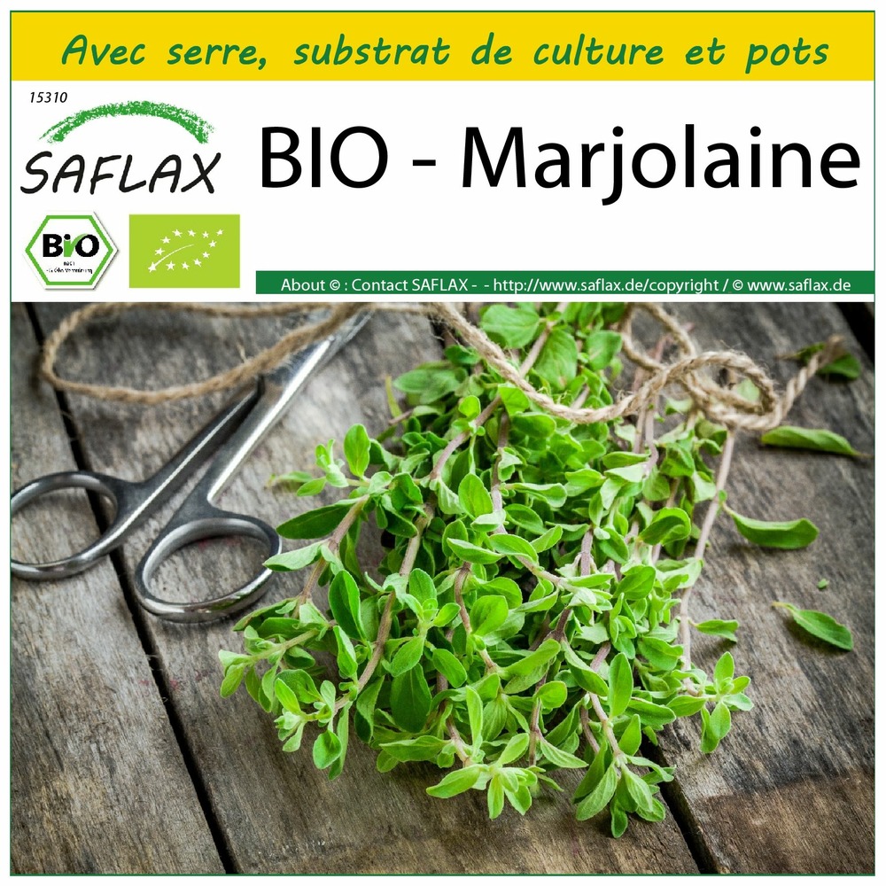 Ensemble de culture - bio - marjolaine - 700 graines - origanum majorana