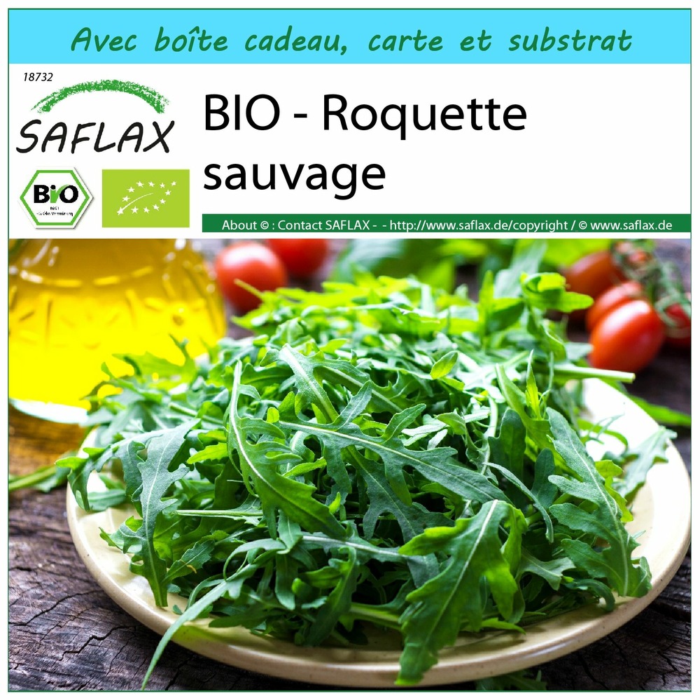 Ensemble-cadeau - bio - roquette sauvage - 1500 graines - diplotaxis tenuifolia