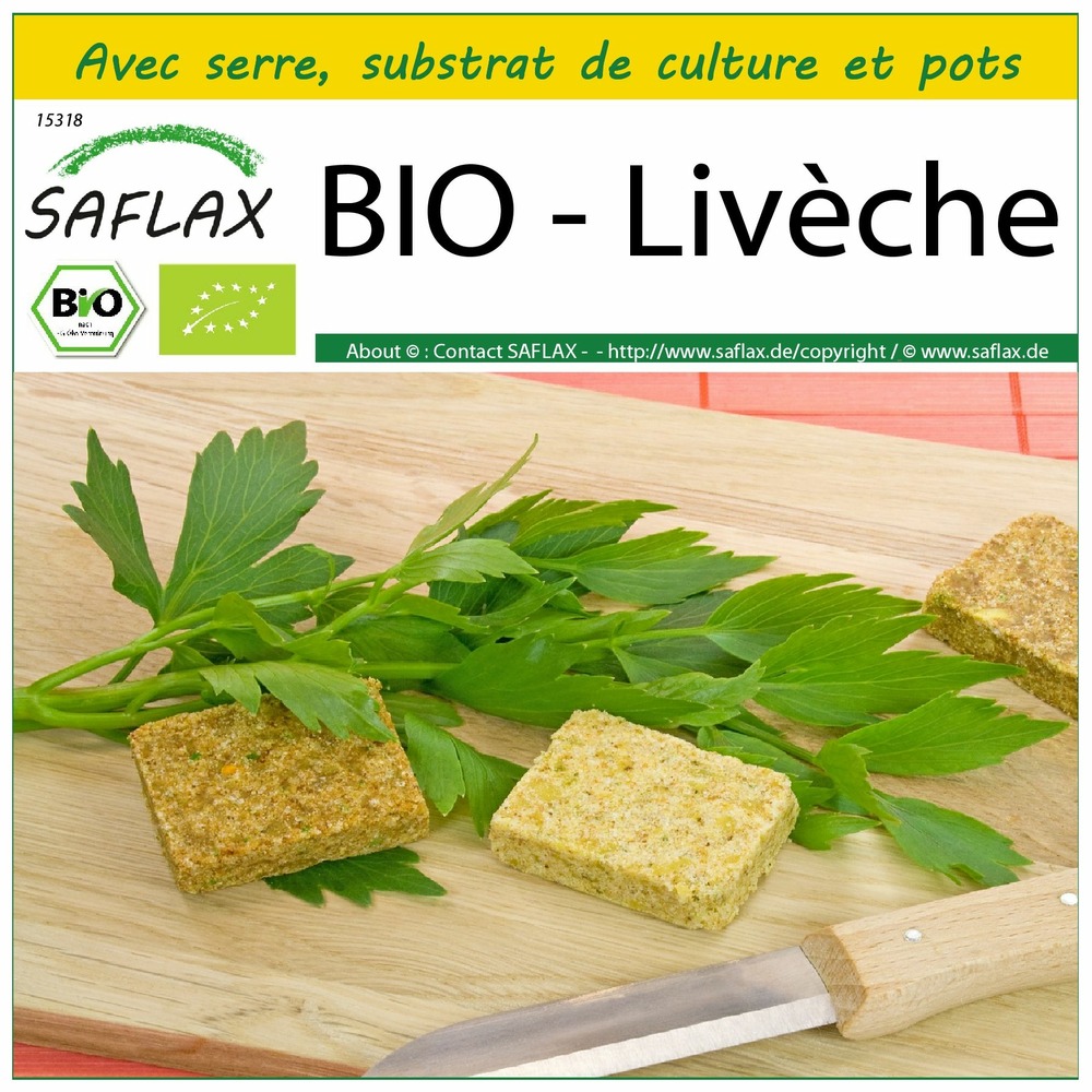 Ensemble de culture - bio - livèche - 100 graines - levisticum officinale