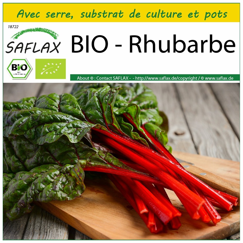Ensemble de culture - bio - rhubarbe - 50 graines - beta vulgaris subsp. Vulgaris