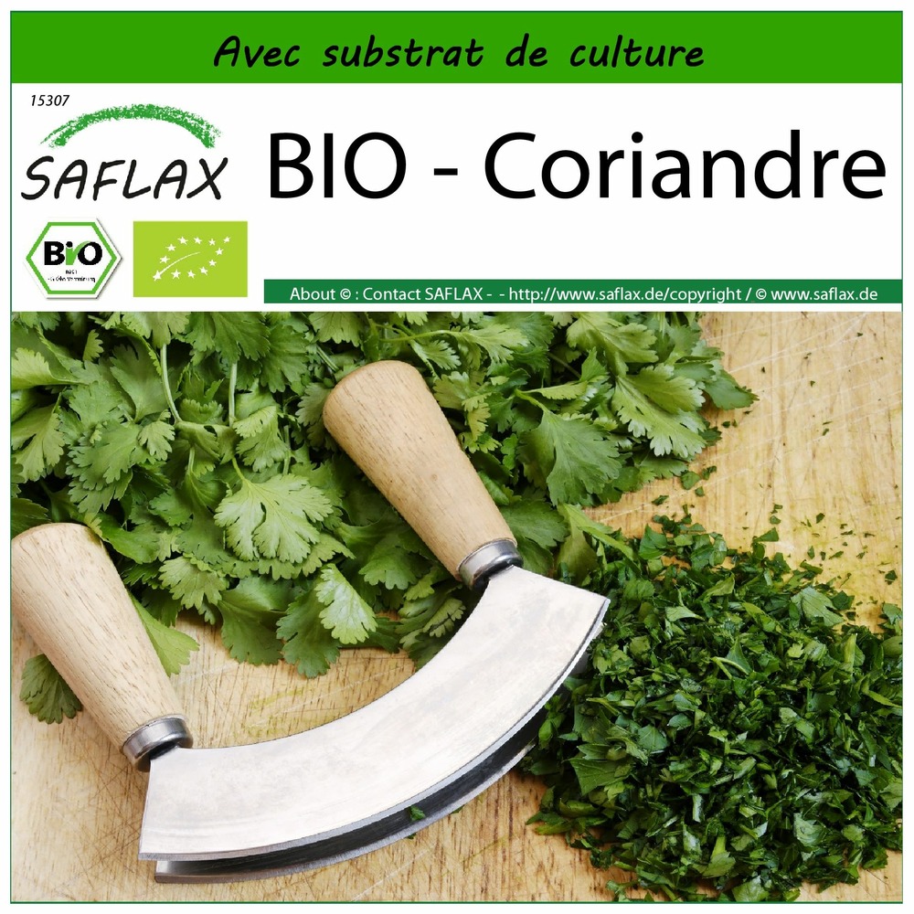 Bio - coriandre - 150 graines - avec substrat - coriandrum sativum