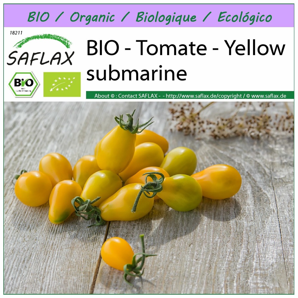 Bio - tomate - yellow submarine - 10 graines - solanum lycopersicum