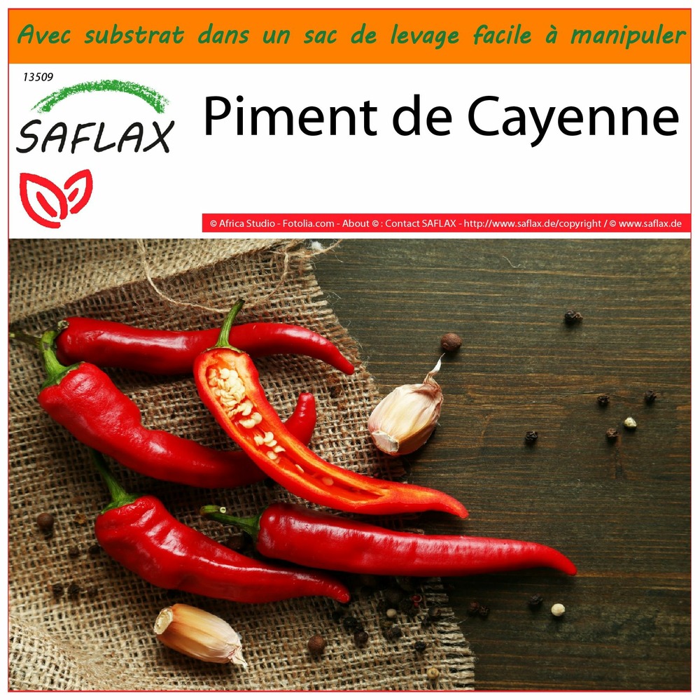 Jardin dans le sac - piment de cayenne - 20 graines - capsicum annum