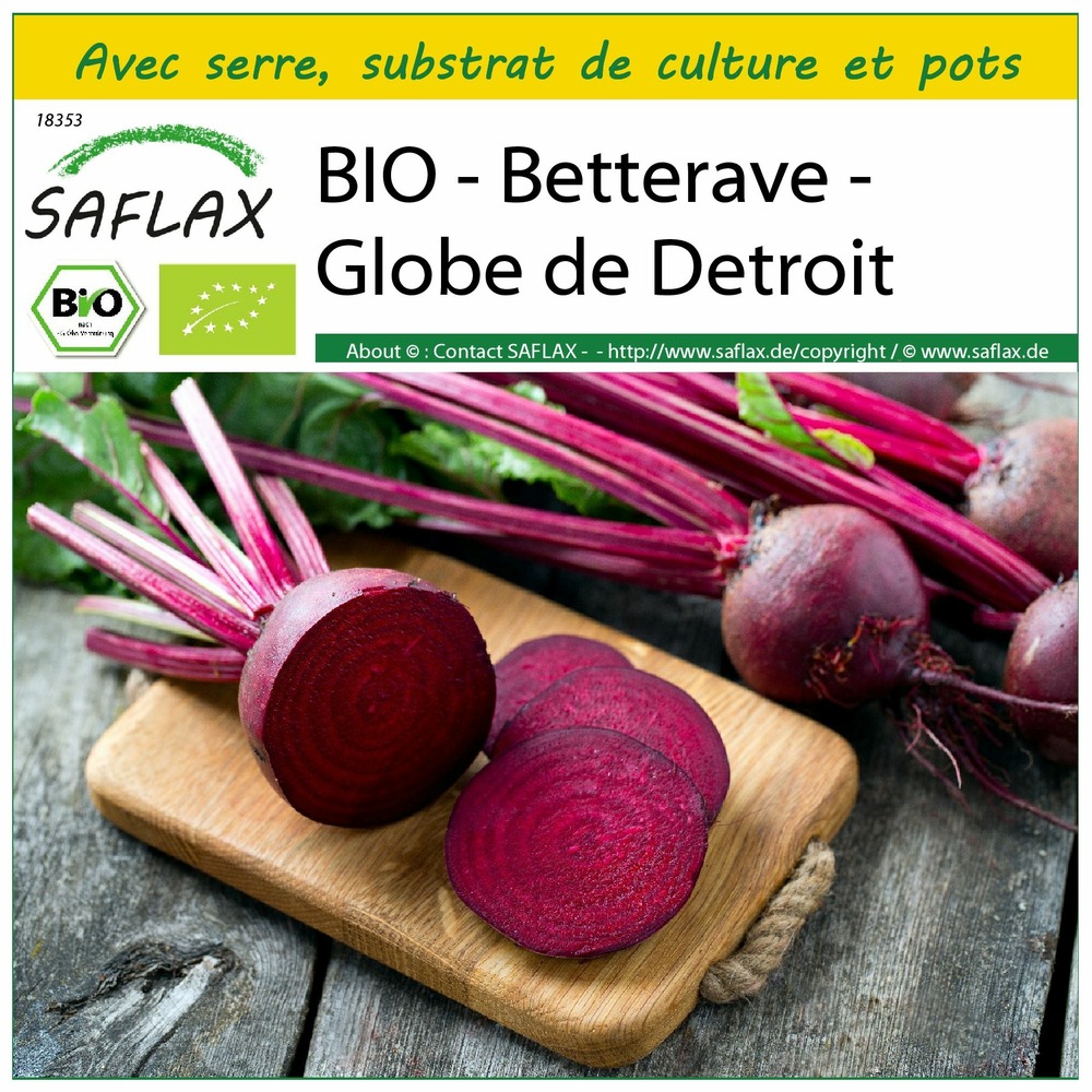 Ensemble de culture - bio - betterave - globe de detroit - 100 graines - beta vulgaris