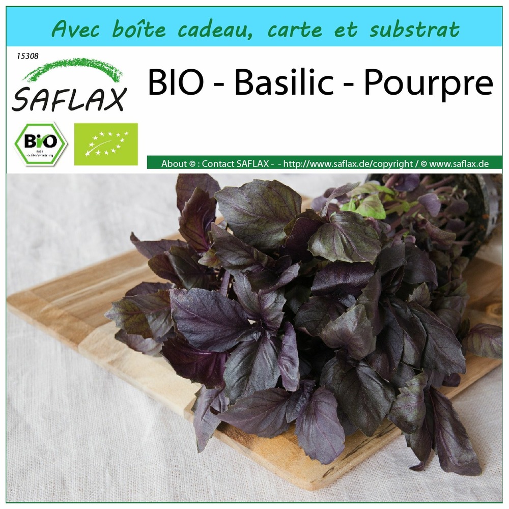 Ensemble-cadeau - bio - basilic - pourpre - 400 graines - ocimum basilicum