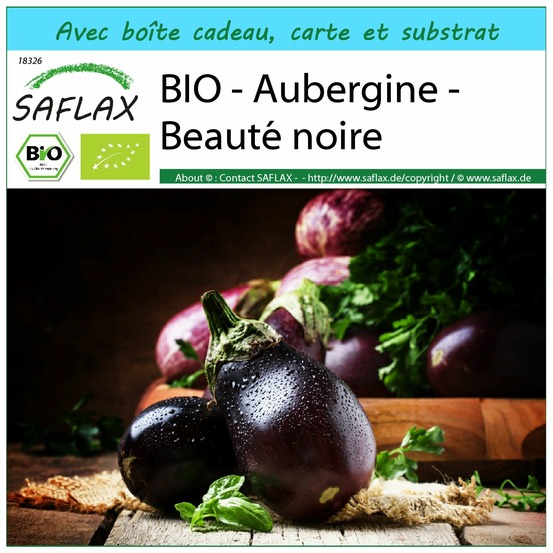 Ensemble-cadeau - bio - aubergine - beauté noire - 25 graines - solanum melongena