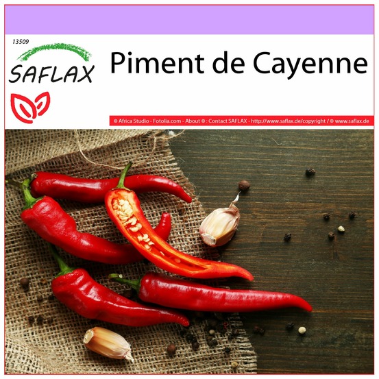 Piment de cayenne - 20 graines - capsicum annum