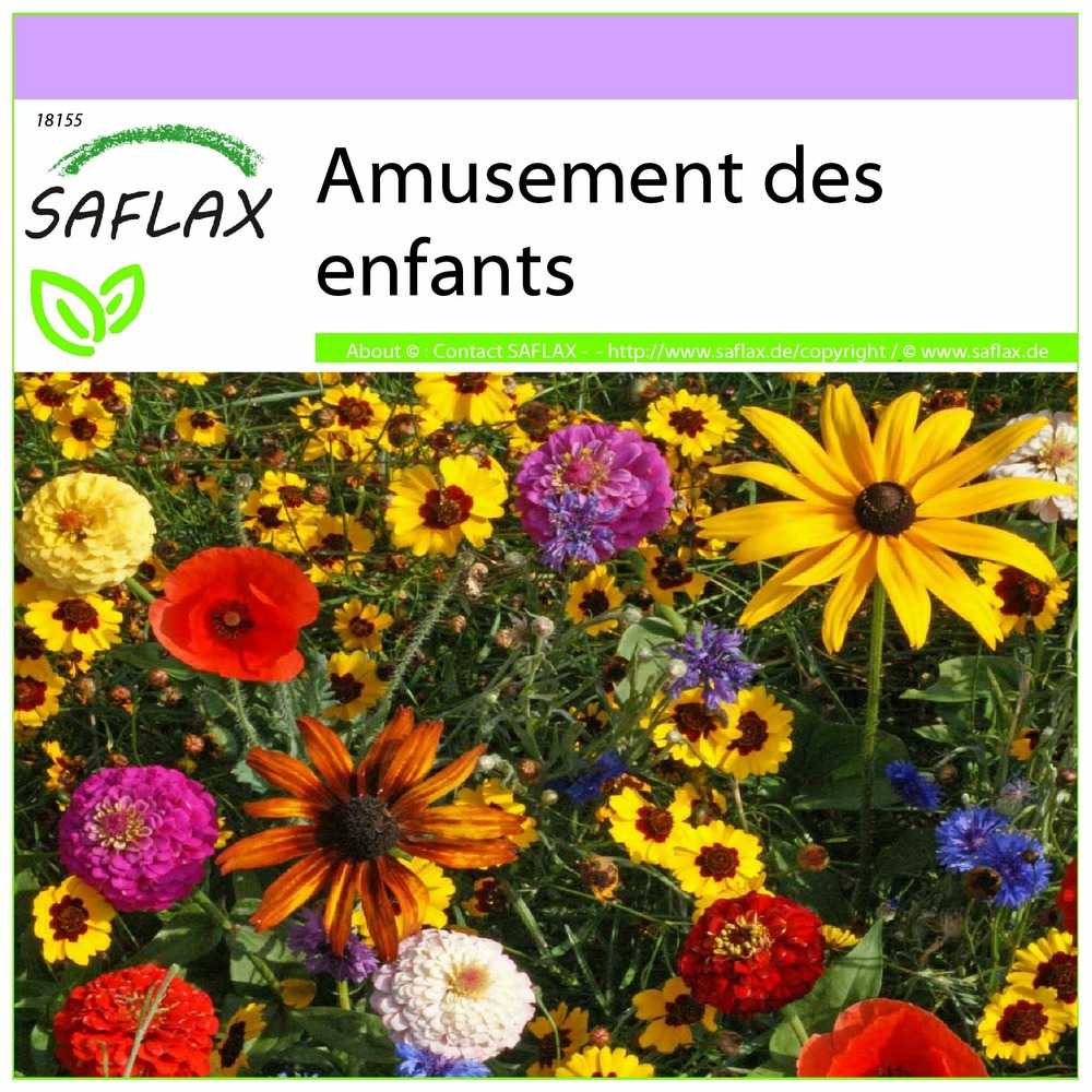 Amusement des enfants - 1000 graines - mix