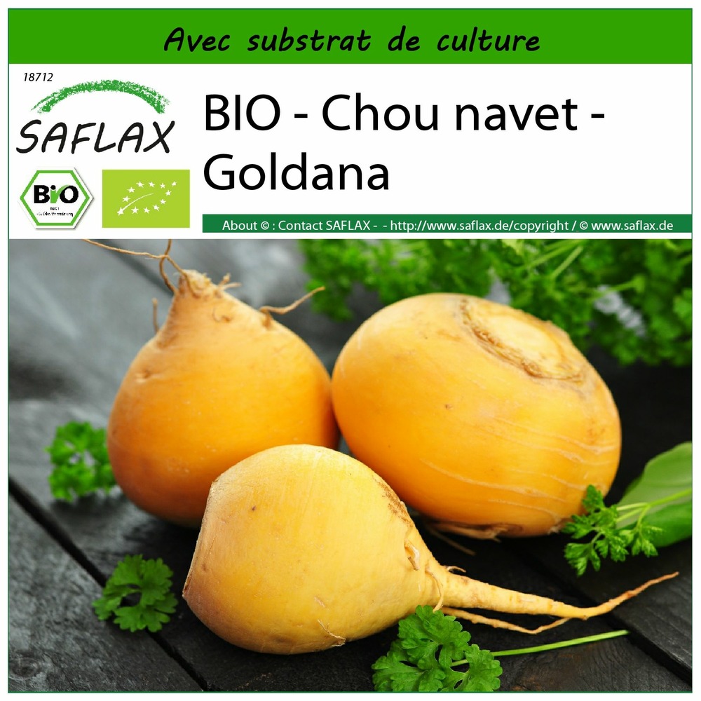 Bio - chou navet - goldana - 500 graines - avec substrat - brassica rapa