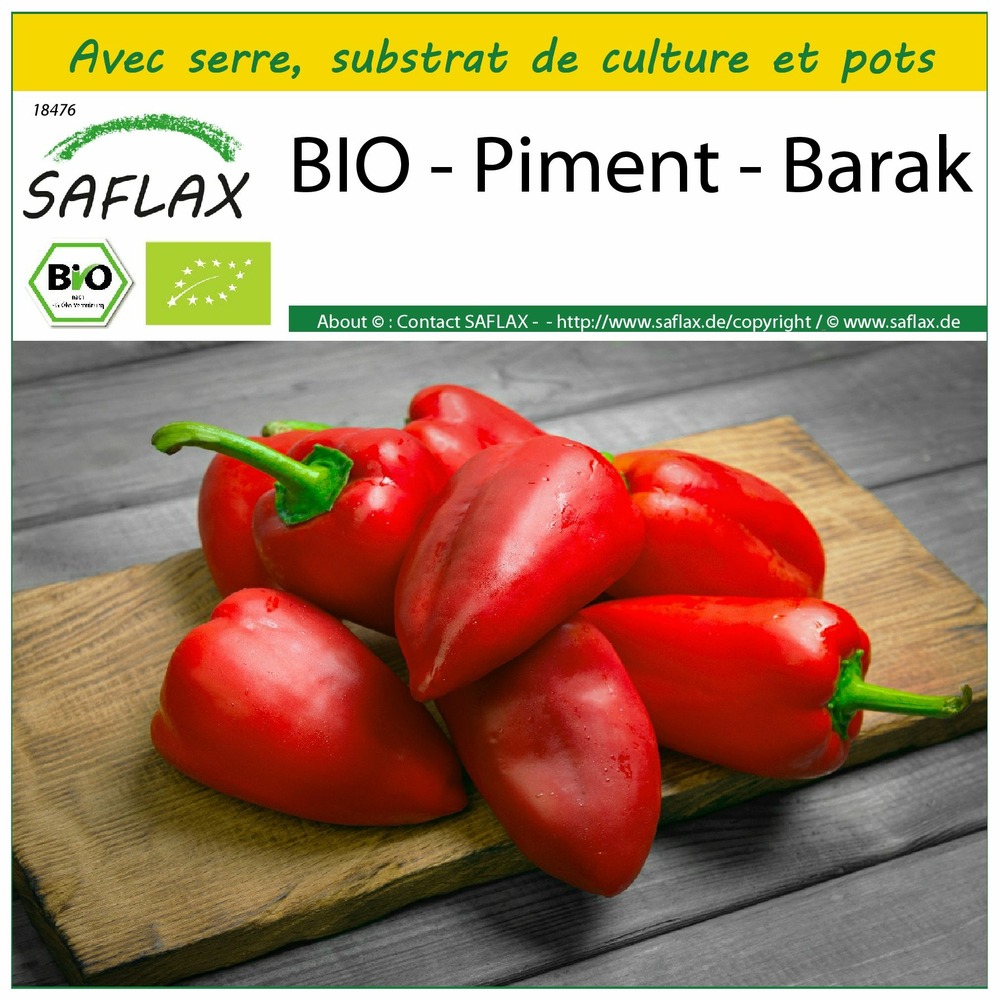 Ensemble de culture - bio - piment - barak - 15 graines - capsicum annuum