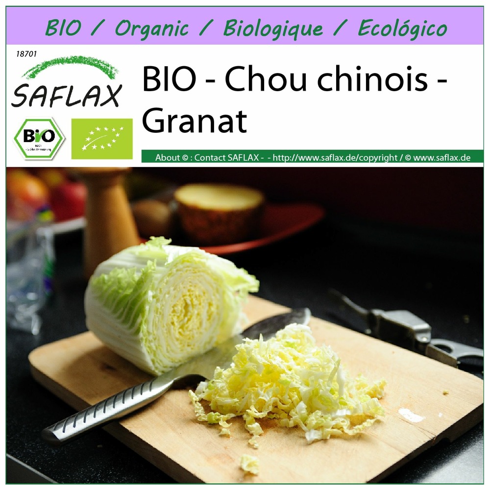 Bio - chou chinois - granat - 40 graines - brassica rapa ssp. Pekinensis