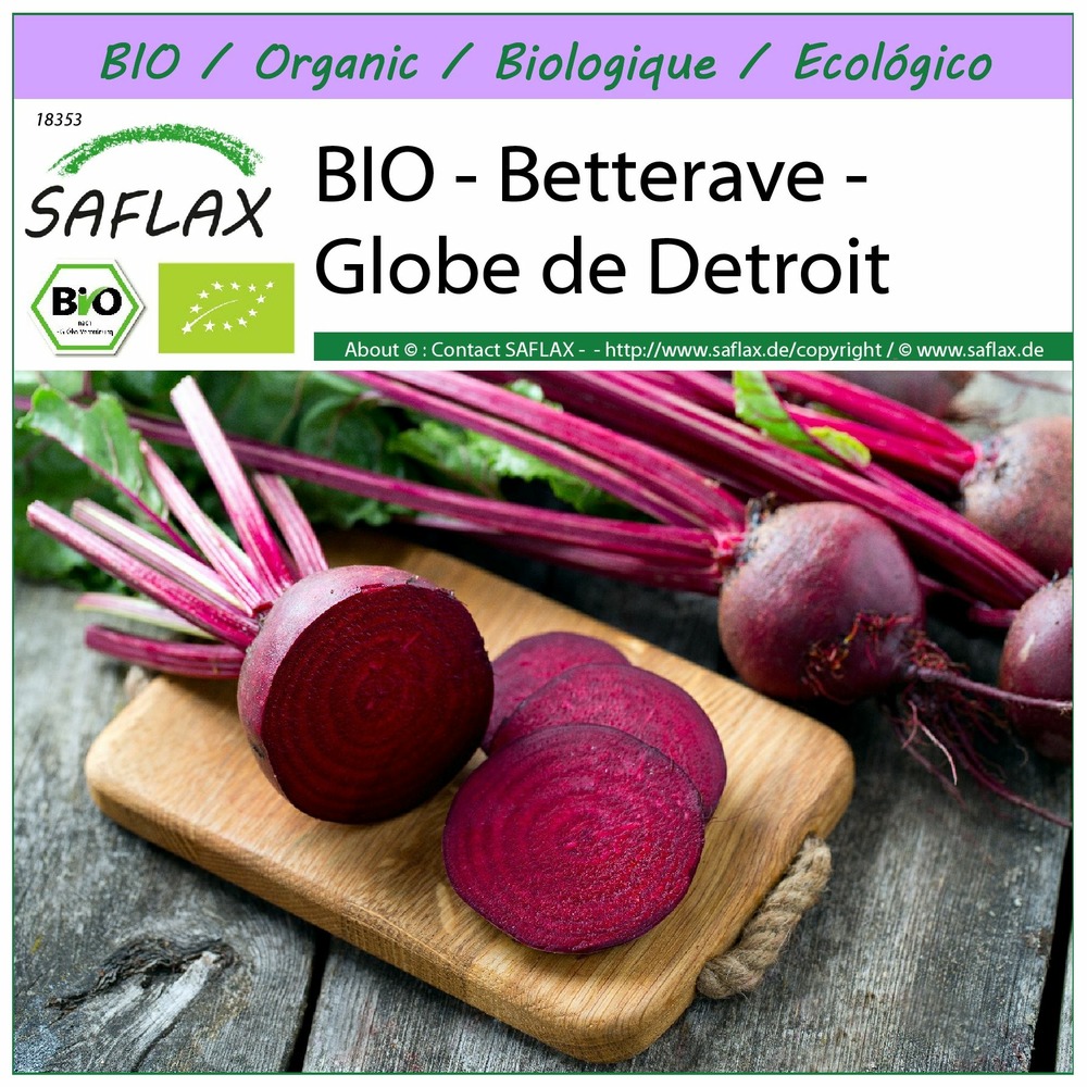 Bio - betterave - globe de detroit - 100 graines - beta vulgaris
