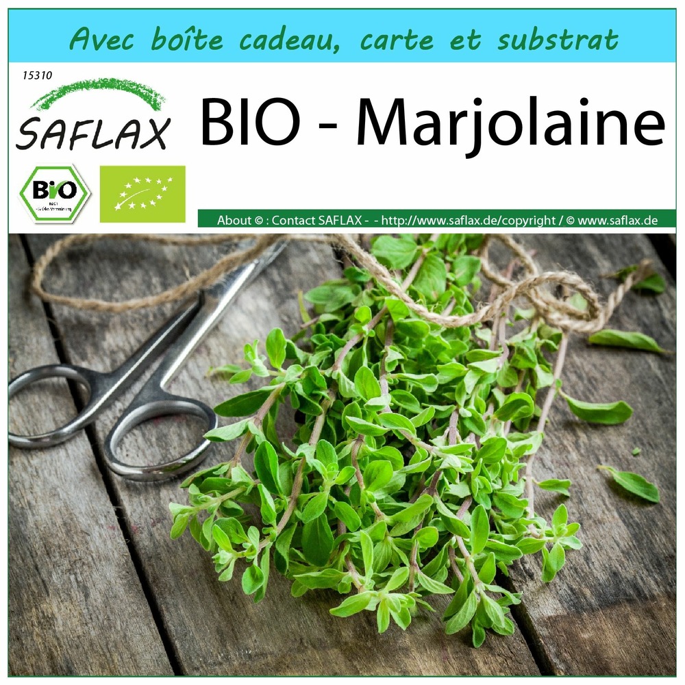 Ensemble-cadeau - bio - marjolaine - 700 graines - origanum majorana