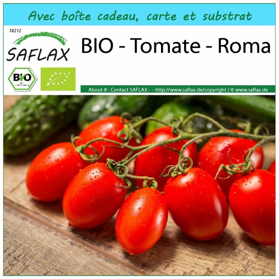 Ensemble-cadeau - bio - tomate - roma - 15 graines - solanum lycopersicum