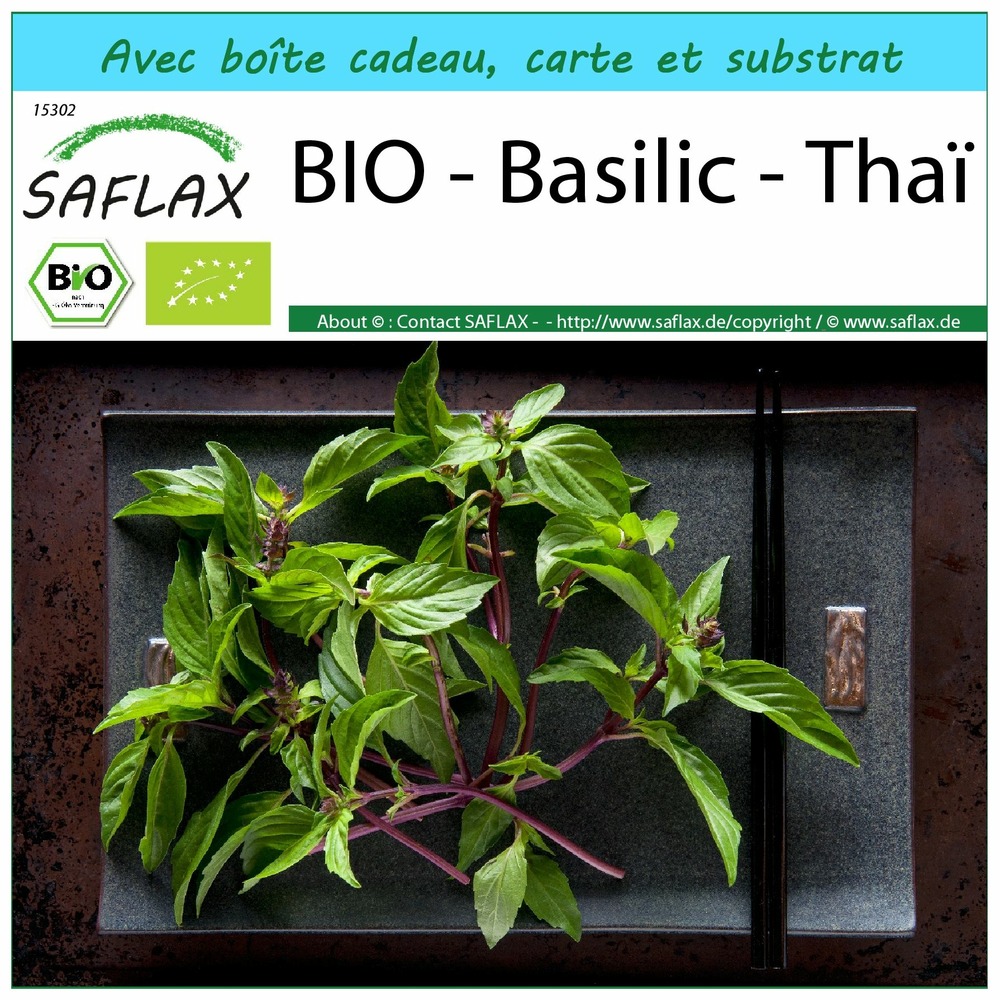Ensemble-cadeau - bio - basilic - thaï - 250 graines - ocimum basilicum