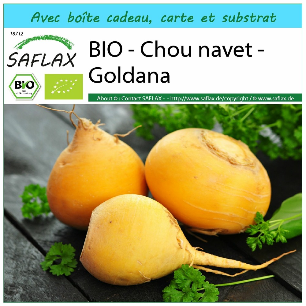 Ensemble-cadeau - bio - chou navet - goldana - 500 graines - brassica rapa