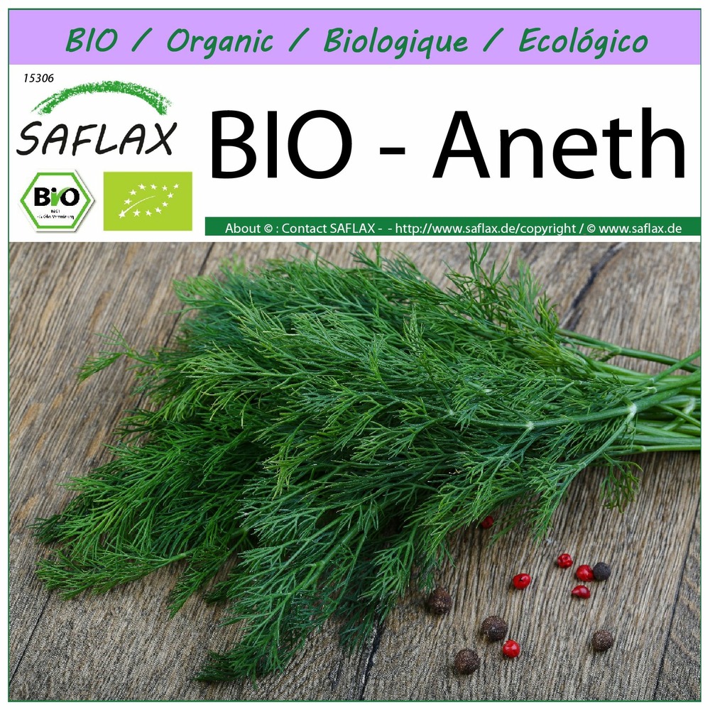 Bio - aneth - 700 graines - anethum graveolens