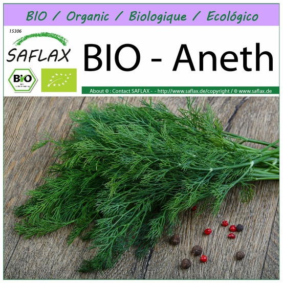 Bio - aneth - 700 graines - anethum graveolens
