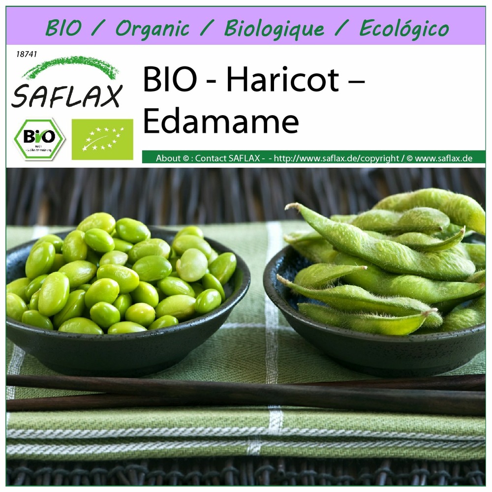 Bio - haricot – edamame - 8 graines - glycine max (l.) merr.
