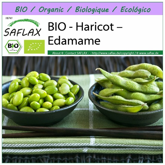 Bio - haricot – edamame - 8 graines - glycine max (l.) merr.