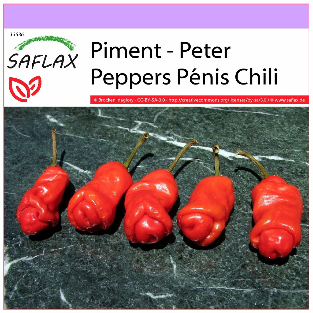 Piment - peter peppers pénis chili - 10 graines - capsicum annuum