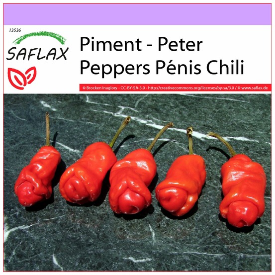 Piment - peter peppers pénis chili - 10 graines - capsicum annuum