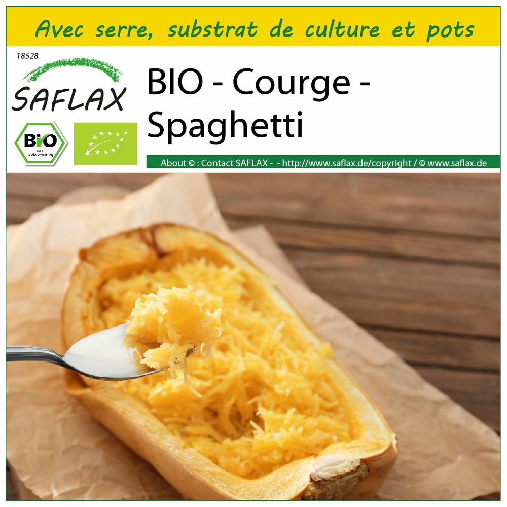 Ensemble de culture - bio - courge - spaghetti - 5 graines - cucurbita pepo