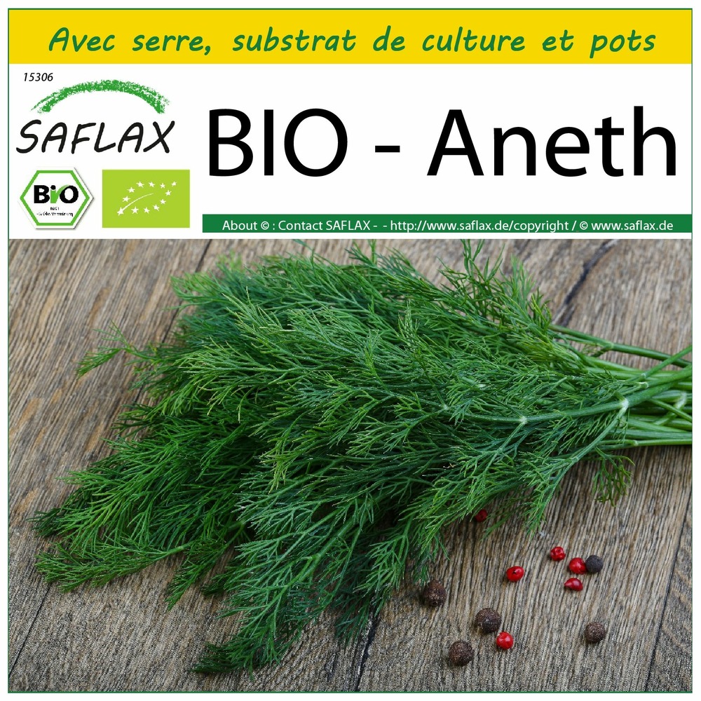 Ensemble de culture - bio - aneth - 700 graines - anethum graveolens