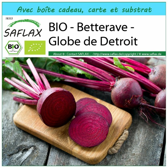 Ensemble-cadeau - bio - betterave - globe de detroit - 100 graines - beta vulgaris