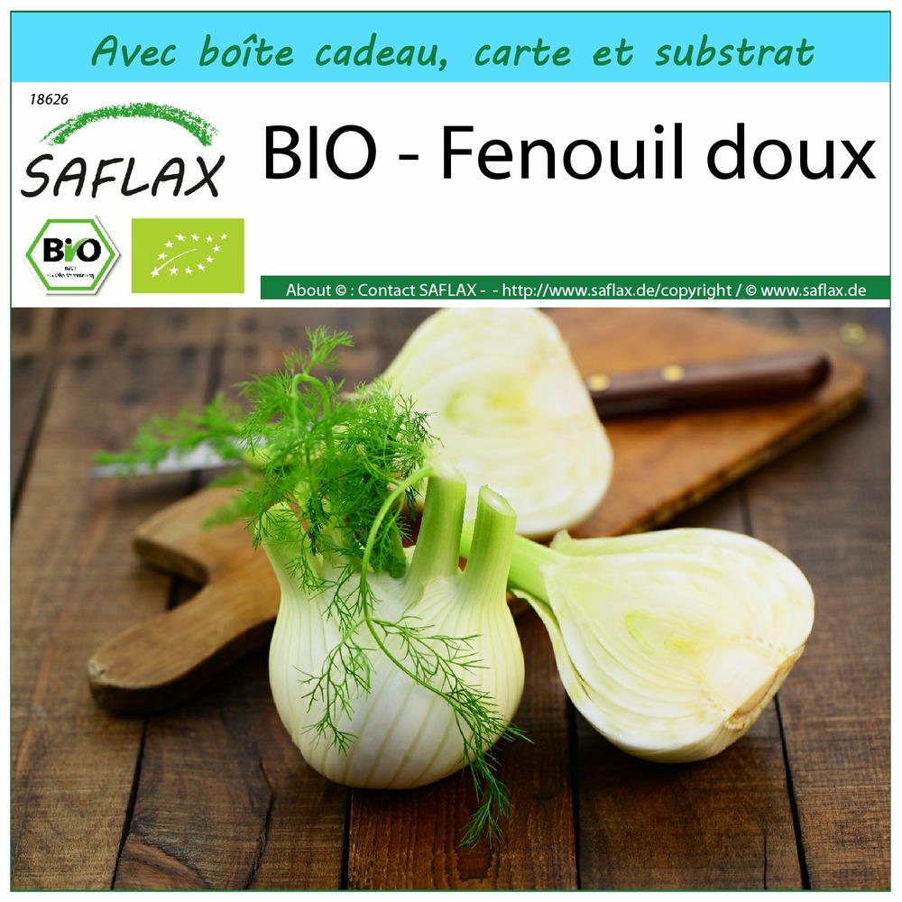 Ensemble-cadeau - bio - fenouil doux - 100 graines - foeniculum vulgare var. Azoricum