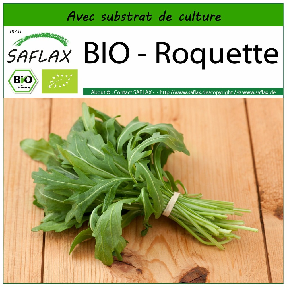 Bio - roquette - 3000 graines - avec substrat - eruca sativa