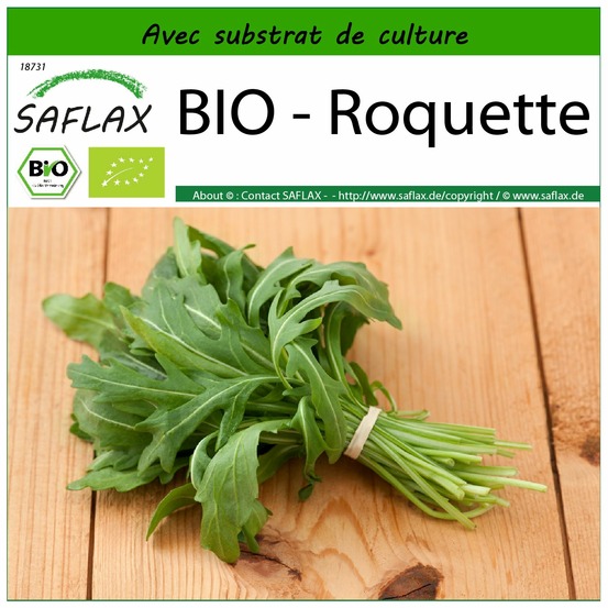 Bio - roquette - 3000 graines - avec substrat - eruca sativa