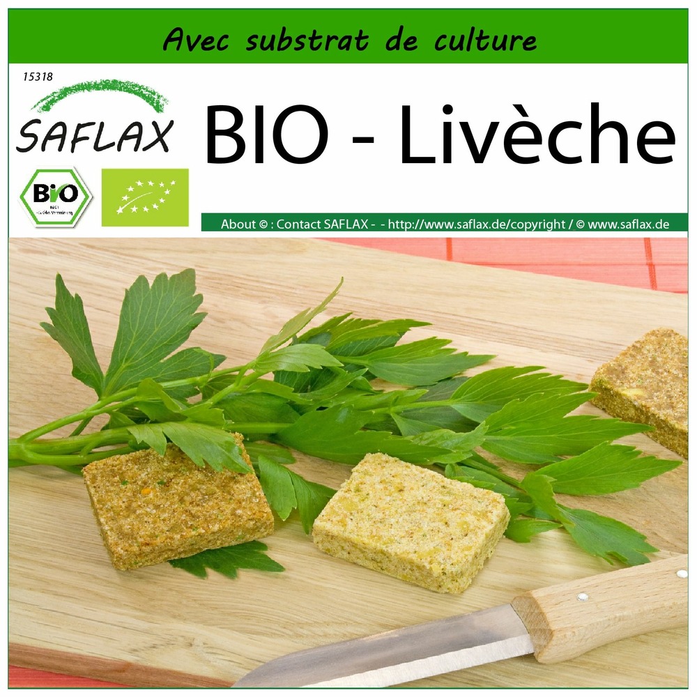 Bio - livèche - 100 graines - avec substrat - levisticum officinale