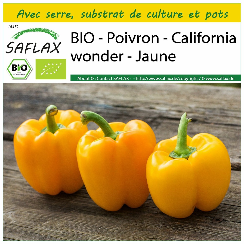 Ensemble de culture - bio - poivron - california wonder - jaune - 20 graines - capsicum annuum
