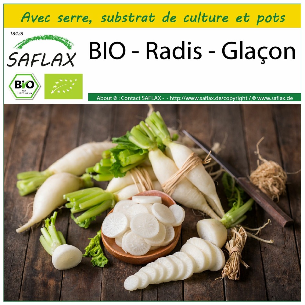 Ensemble de culture - bio - radis - glaçon - 100 graines - raphanus sativus