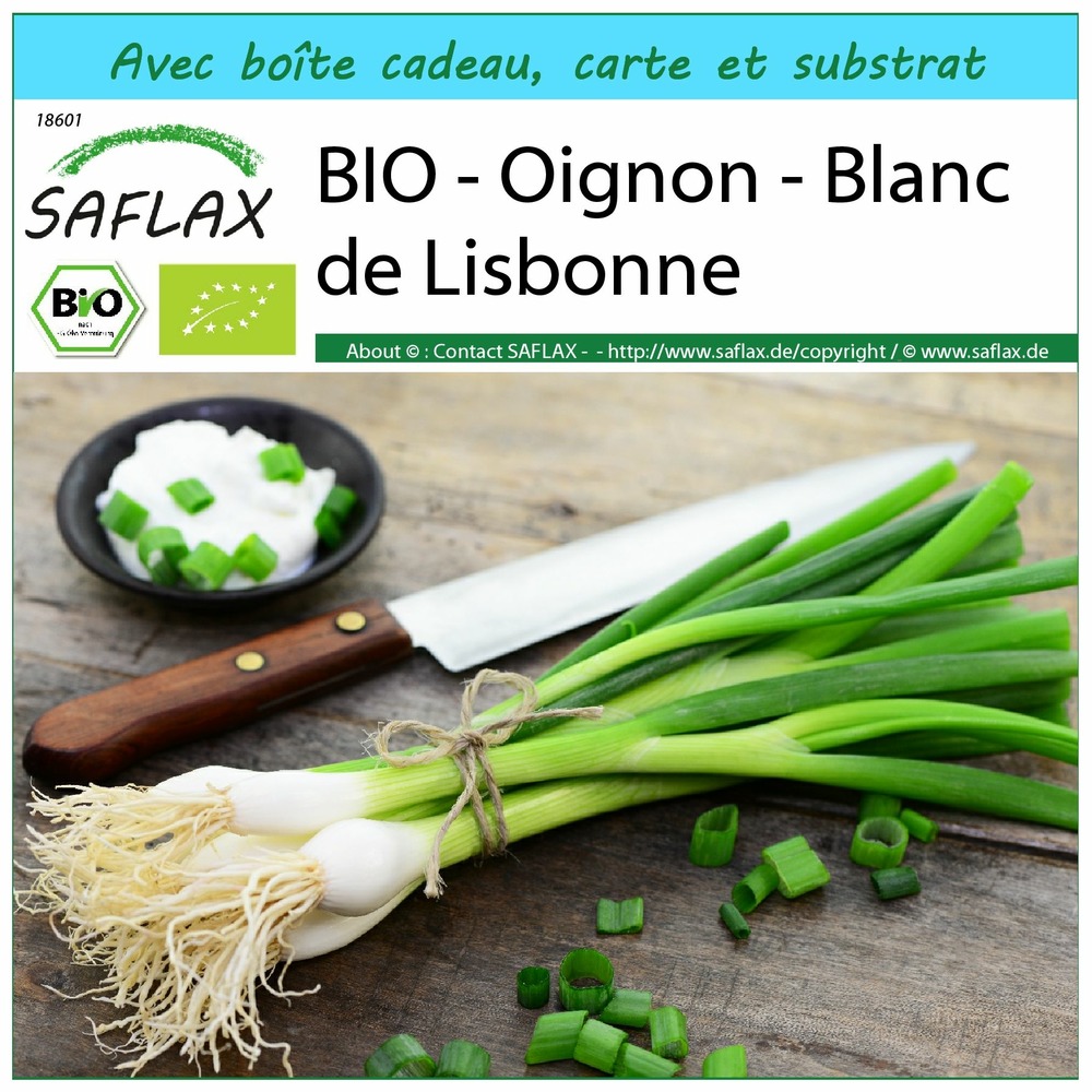 Ensemble-cadeau - bio - oignon - blanc de lisbonne - 150 graines - allium cepa