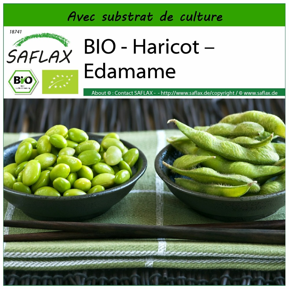 Bio - haricot – edamame - 8 graines - avec substrat - glycine max (l.) merr.