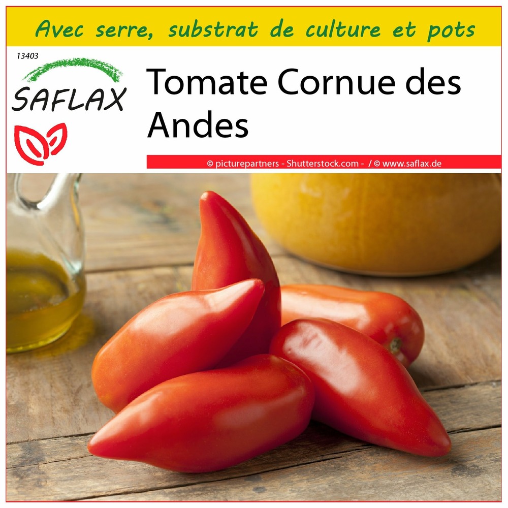 Ensemble de culture - tomate cornue des andes - 10 graines - lycopersicon esculentum
