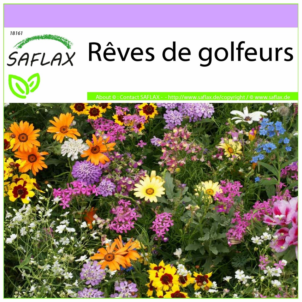 Rêves de golfeurs - 1000 graines - mix