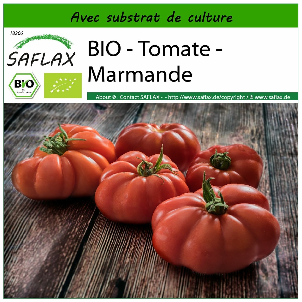 Bio - tomate - marmande - 10 graines - avec substrat - solanum lycopersicum