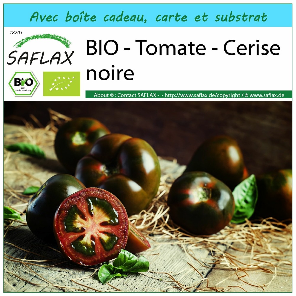Ensemble-cadeau - bio - tomate - cerise noire - 10 graines - solanum lycopersicum