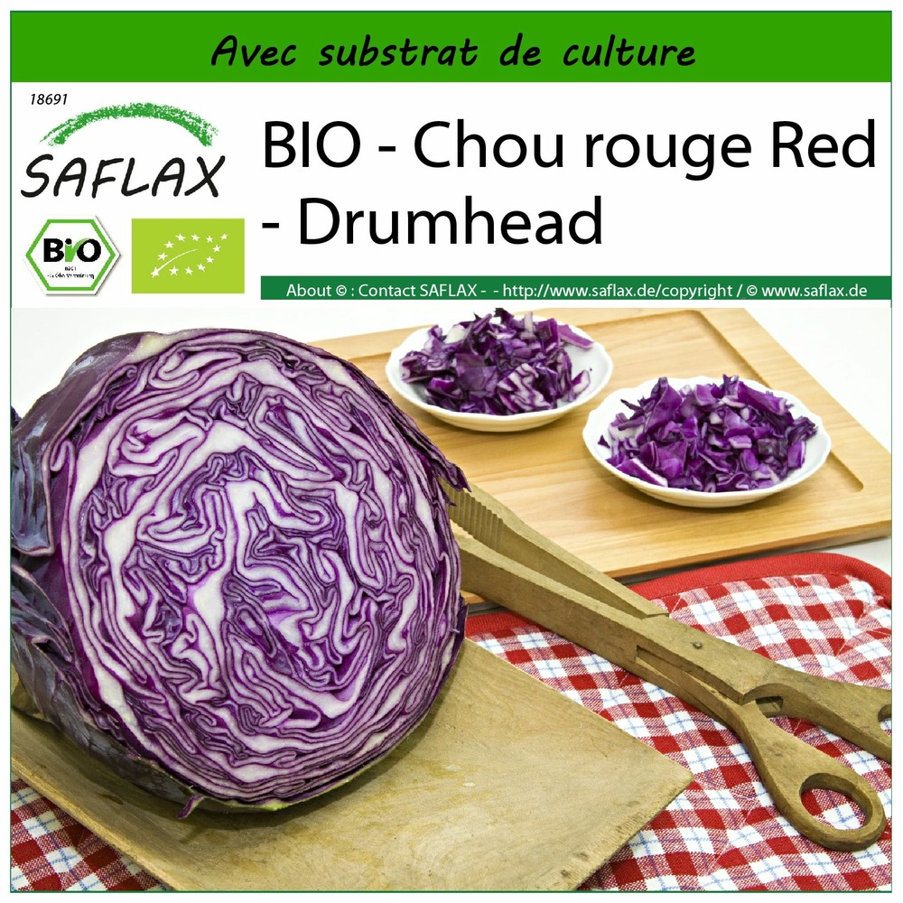 Bio - chou rouge red - drumhead - 250 graines - avec substrat - brassica oleracea var. Capitata