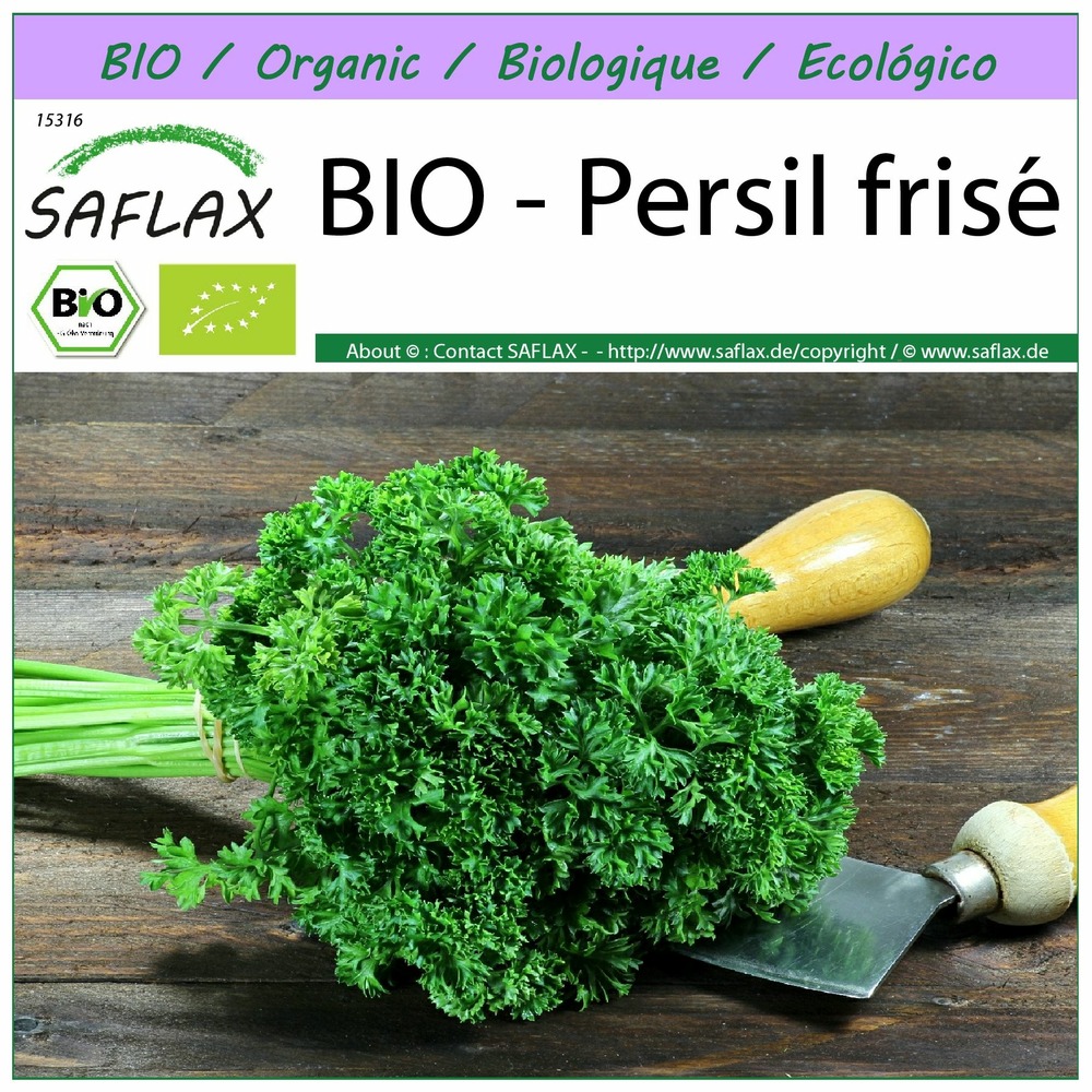 Bio - persil frisé - 800 graines - petroselinum crispum