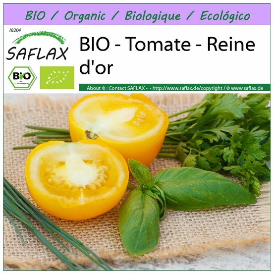 Bio - tomate - reine d'or - 15 graines - solanum lycopersicum